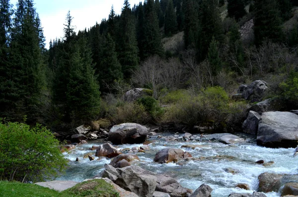 Viaje Auto Por Río Montaña — Foto de Stock