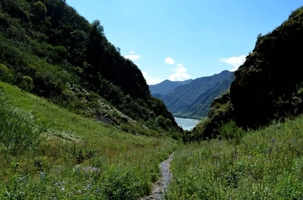 Landschap Van Berg Rivieren Altaj — Stockfoto