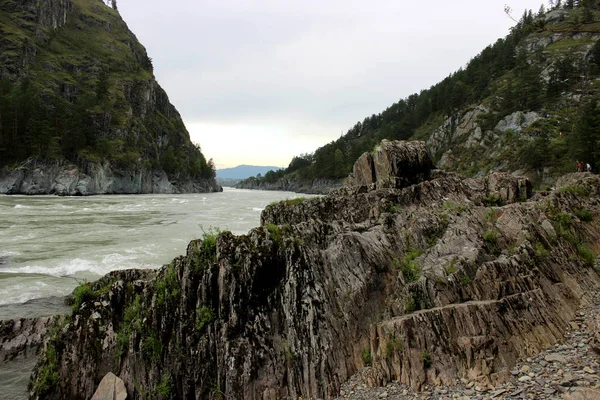 アルタイ山地河川の風景 — ストック写真