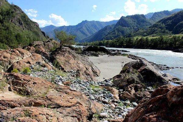 Paisaje Los Ríos Montaña Altai — Foto de Stock