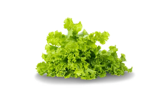 Hoja Ensalada Lechuga Aislada Sobre Fondo Blanco — Foto de Stock