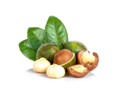 Macadamia nut beyaz arka plan üzerinde yaprakları ile.