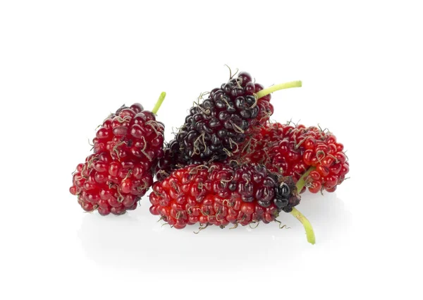 Dut beyaz arkaplanda izole edilmiş