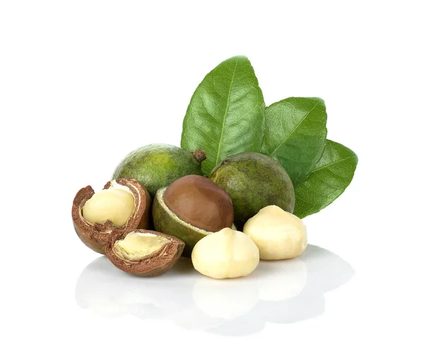 Macadamia nut beyaz arka plan üzerinde yaprakları ile.