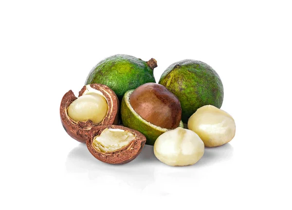 Nuez Macadamia Fresca Seca Sobre Fondo Blanco — Foto de Stock