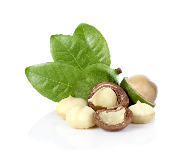 Macadamia Nut Beyaz Arka Plan Üzerinde Yaprakları Ile — Stok fotoğraf