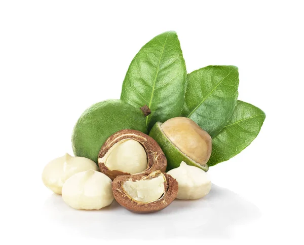 Macadamia nut beyaz arka plan üzerinde yaprakları ile.