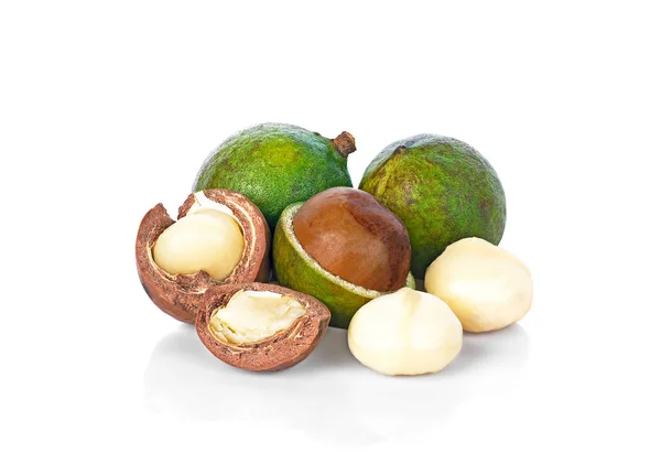 Frische Und Getrocknete Macadamia Nuss Auf Weißem Hintergrund — Stockfoto