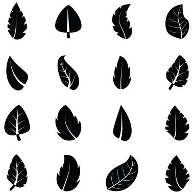 yaprak Icon set