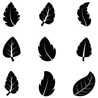 yaprak Icon set