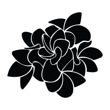 frangipani silueti