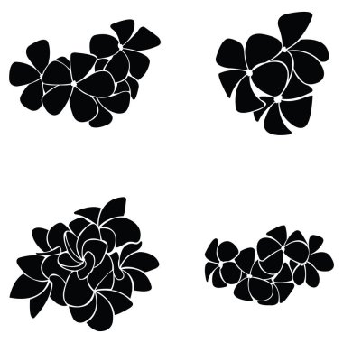 frangipani silueti
