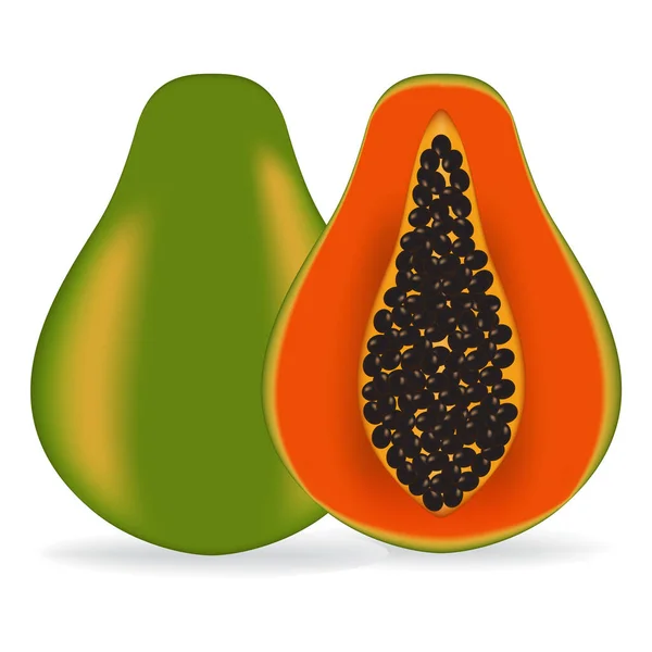 Ilustración Vectorial Papaya Fresca — Vector de stock