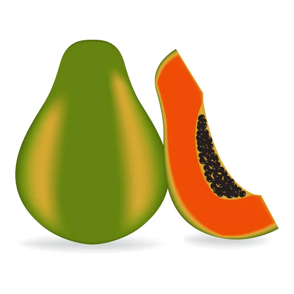 Vektor Illusztráció Friss Papaya — Stock Vector