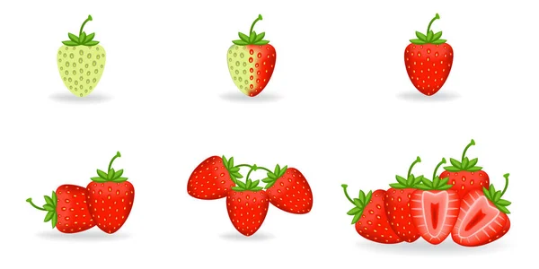 有叶子的新鲜草莓 — 图库矢量图片