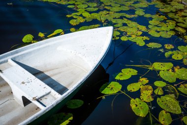 Nehri üzerinde tekne ile arka planda yeşil lilyum