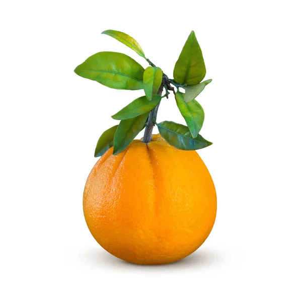 Naranjas Frescas Con Hojas Naturales Aisladas Sobre Fondo Blanco — Foto de Stock