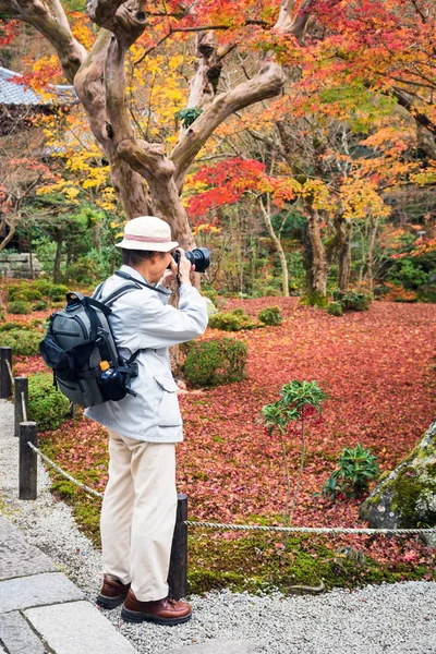 Κιότο Ιαπωνία Nov Τουρίστες Απολαμβάνουν Βλέποντας Φύλλο Σφενδάμνου Στον Ζεν — Φωτογραφία Αρχείου