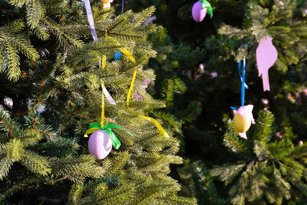 Färgglada Påskägg Hänga Trädet Dekorera Säsongen Eastertide — Stockfoto