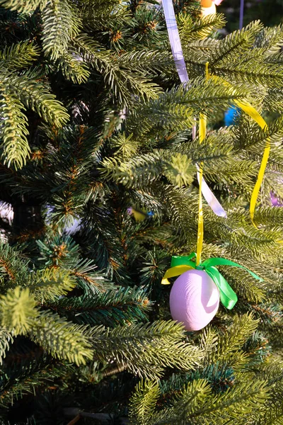 Färgglada Påskägg Hänga Trädet Dekorera Säsongen Eastertide — Stockfoto