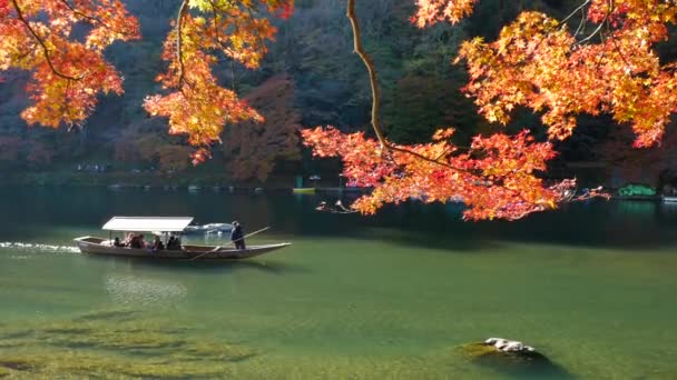 Kyoto Japón Nov26 Turistas Identificados Barco Madera Disfrutan Colores Otoñales — Vídeo de stock