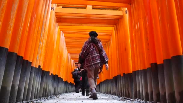 伏見稲荷大社で赤い鳥居ゲート通路道で観光客神社京都府観光の魅力のランドマークの一つで京都市 2016 — ストック動画