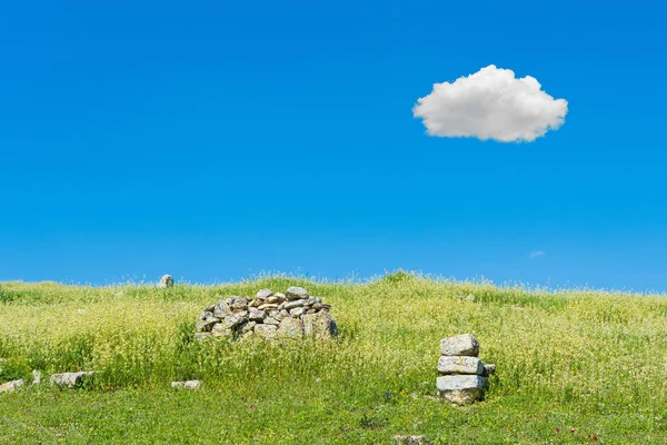Όμορφο οικολογικό χωράφι με καθαρό ουρανό και ένα σύννεφο την καλοκαιρινή σεζόν — Φωτογραφία Αρχείου