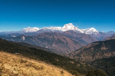 Nepal'de pooh tepe trekking güzergahı boyunca Himalaya sıradağlarının doğa görünümü.