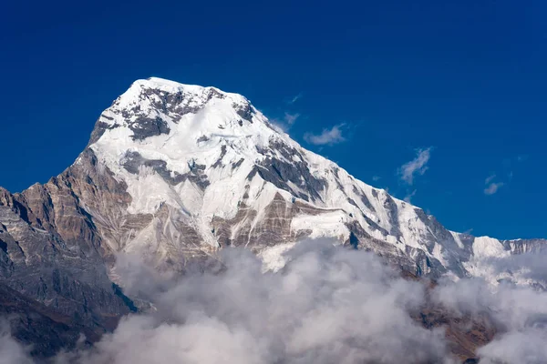 Annapurna Cima montuosa meridionale con sfondo cielo blu in Nepal — Foto Stock