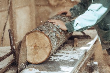 Marangoz dairesel testereyle tahta keser..