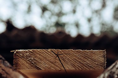 Tahta konut inşaatında kullanılacak kereste.