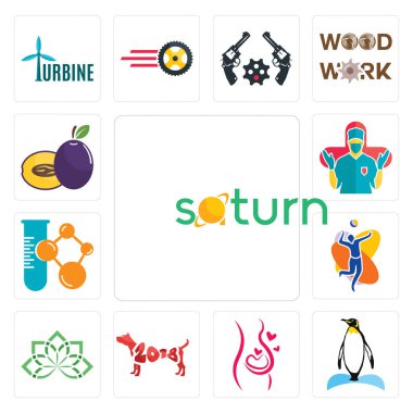 13 ayarlamak basit düzenlenebilir simgeler Satürn, Penguen, gebelik, yıl köpek, bütünsel, voleybol takımı, kimya şirketi, cerrah, erik gibi mobil, web kullanıcı arabirimi için kullanılabilir