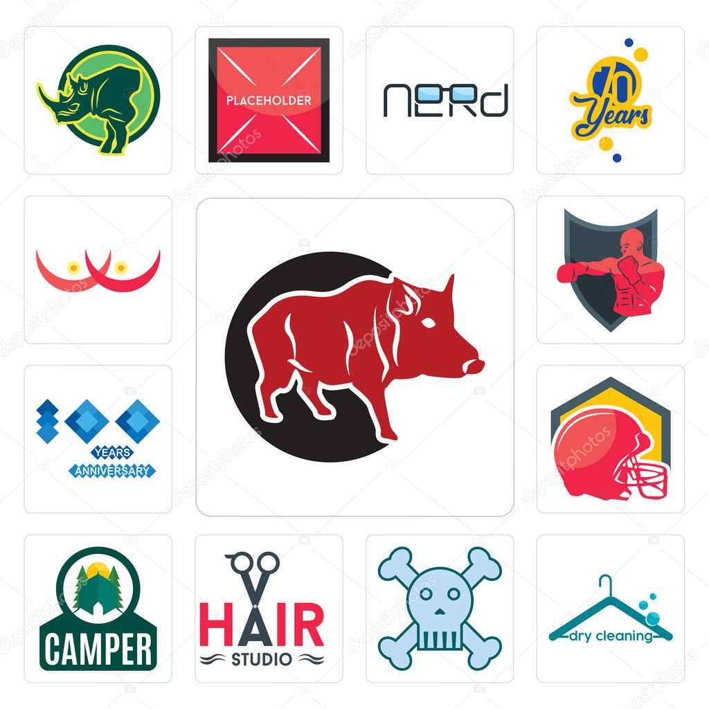 Set Of 13 simple editable icons such as boar, dry cleaning, skull and crossbones, hair studio, camper, football helmet, 100 year anniversary, boxing club, breast cancer can be used for mobile, web UI