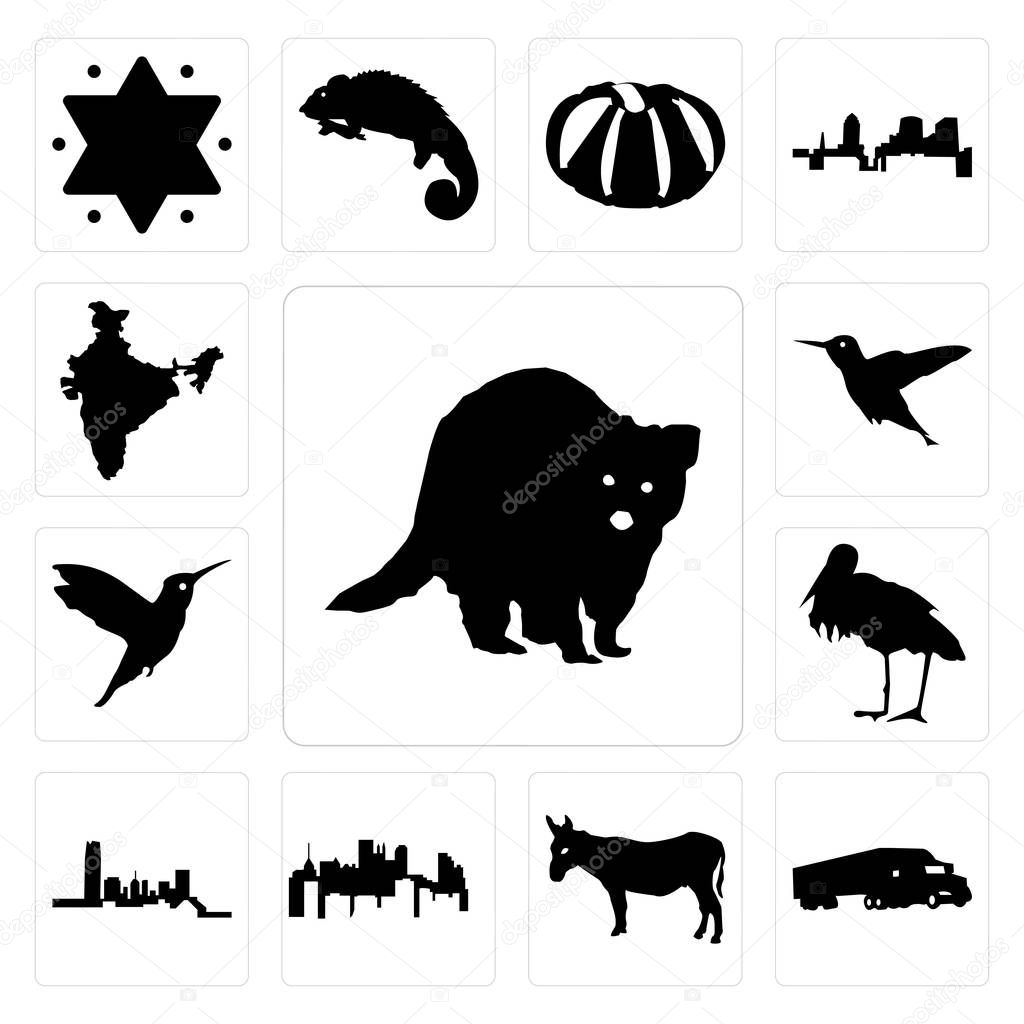 Set Of 13 simple editable icons such as raccoon, semi truck, donkey, pennsylvania state, oklahoma, stork, hummingbird, india can be used for mobile, web UI
