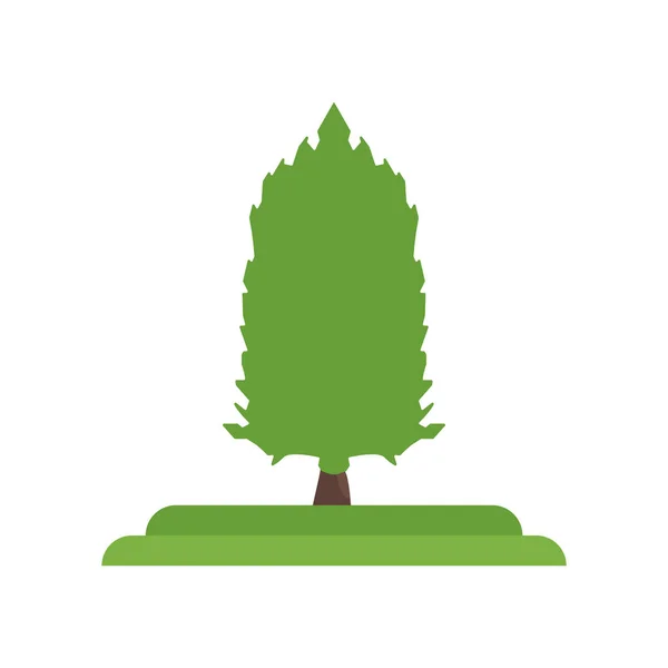 Alerce americano icono de árbol signo vectorial y símbolo aislado en whit — Vector de stock