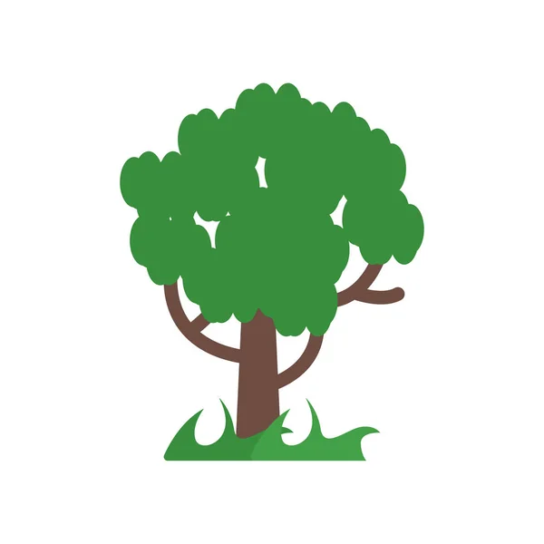 Árbol icono signo vectorial y símbolo aislado sobre fondo blanco, T — Vector de stock