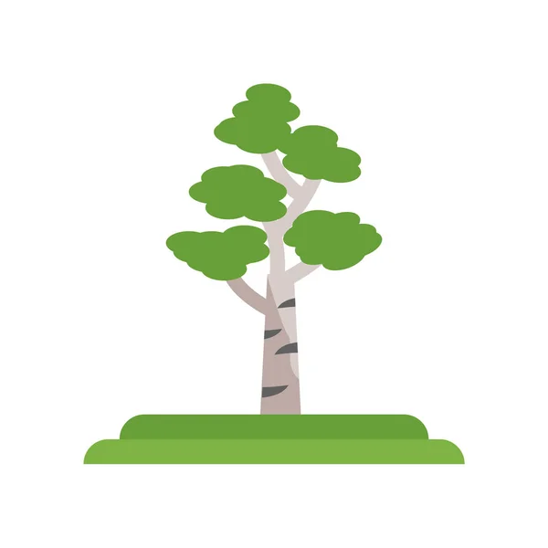 Árbol de abedul negro icono signo vectorial y símbolo aislado en blanco b — Vector de stock