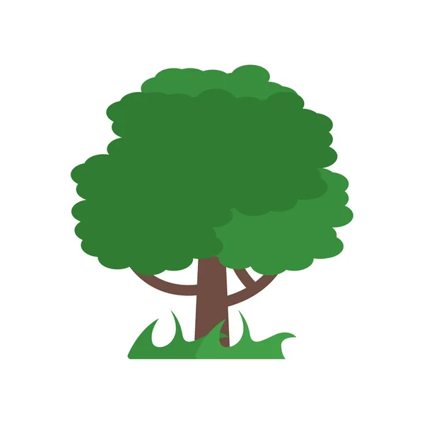 Árbol icono signo vectorial y símbolo aislado sobre fondo blanco, T — Archivo Imágenes Vectoriales