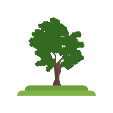 Shagbark Hickory ağaç simge vektör işareti ve wh izole sembolü