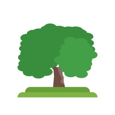 Butternut ağaç simge vektör işareti ve üzerinde beyaz bac izole sembolü