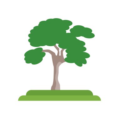 American Elm ağaç simge vektör işareti ve üzerinde beyaz izole sembolü 