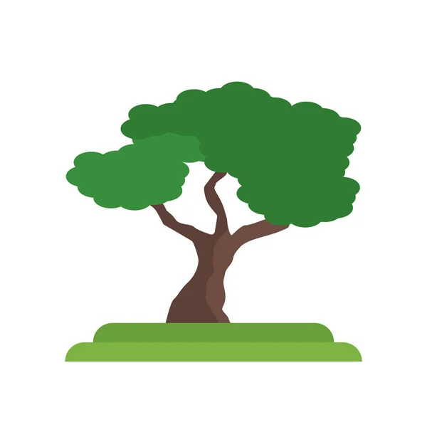 Tanda vektor ikon pohon ek chestnut dan simbol terisolasi di putih - Stok Vektor