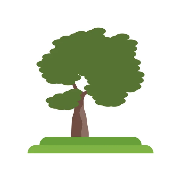 Slippery Elm árbol icono signo vectorial y símbolo aislado en blanco — Vector de stock