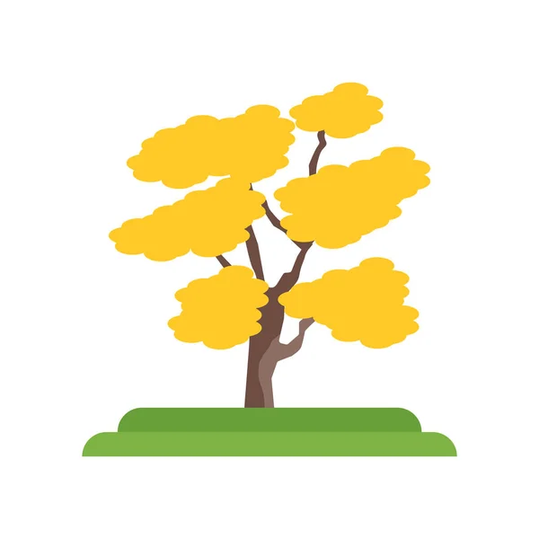 Noyer amer Hickory icône de l'arbre signe vecteur et symbole isolé sur w — Image vectorielle