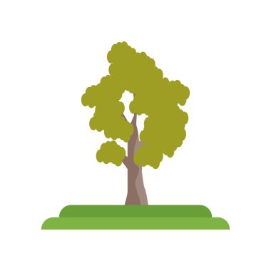 Pignut Hickory ağaç simge vektör işareti ve üzerinde beyaz izole sembolü