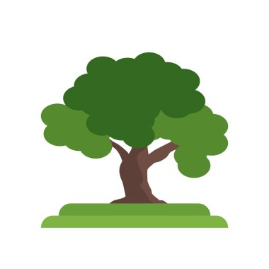 Simge vektör işareti ve sembolü beyaz arkasında izole meşe ağaç