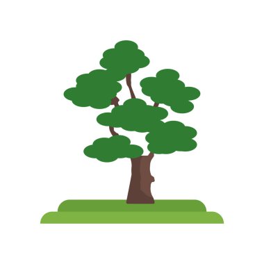 Kızıl meşe ağacı simge vektör işareti ve beyaz b izole sembolü