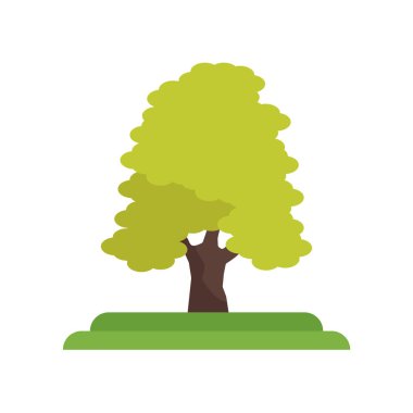 Tatlım-akasya ağacı simge vektör işareti ve üzerinde beyaz izole sembolü 