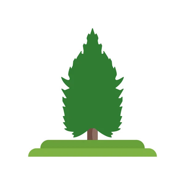 Red Spruce tree pictogram vector teken en symbool geïsoleerd op witte ba — Stockvector