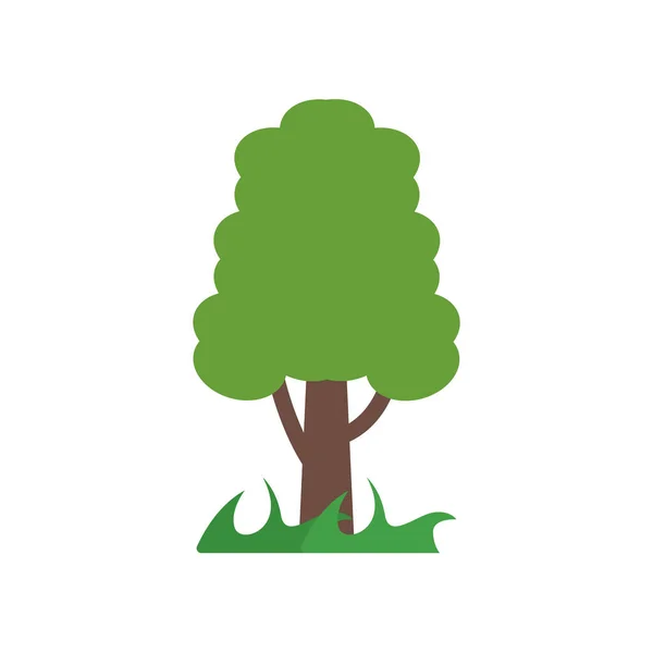 Árbol icono signo vectorial y símbolo aislado sobre fondo blanco, T — Vector de stock